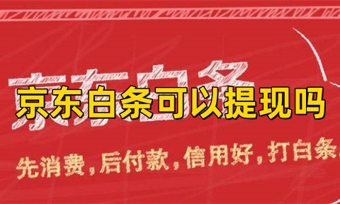 退回白条的钱在哪里？揭秘支付背后的秘密